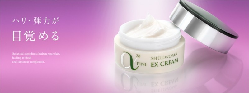 ���^����ς���I�IEX�N���[�����T�C�g